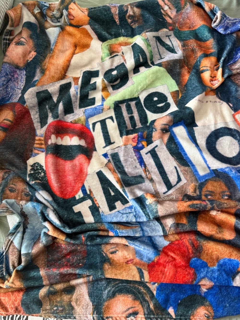 Megan thee stallion blanket